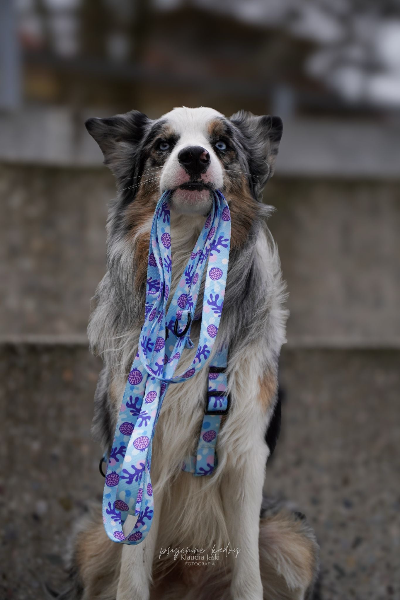 Smycz przepinana 3 m Psiamikaze