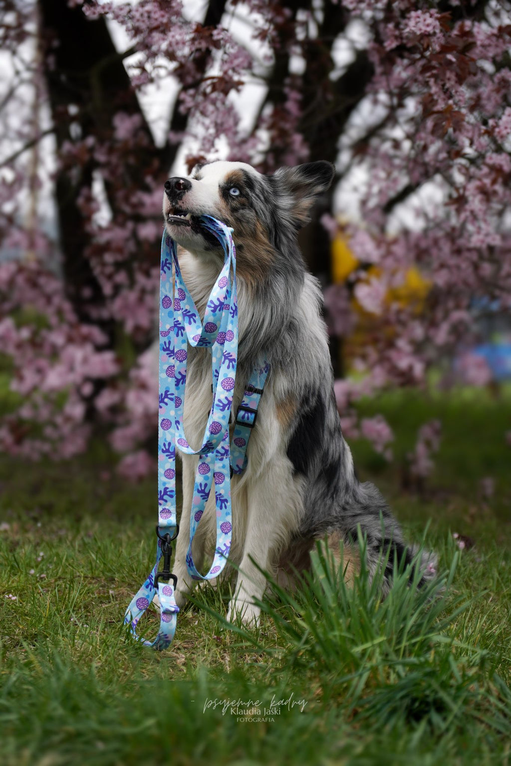 Smycz miejska 2 m Psiamikaze