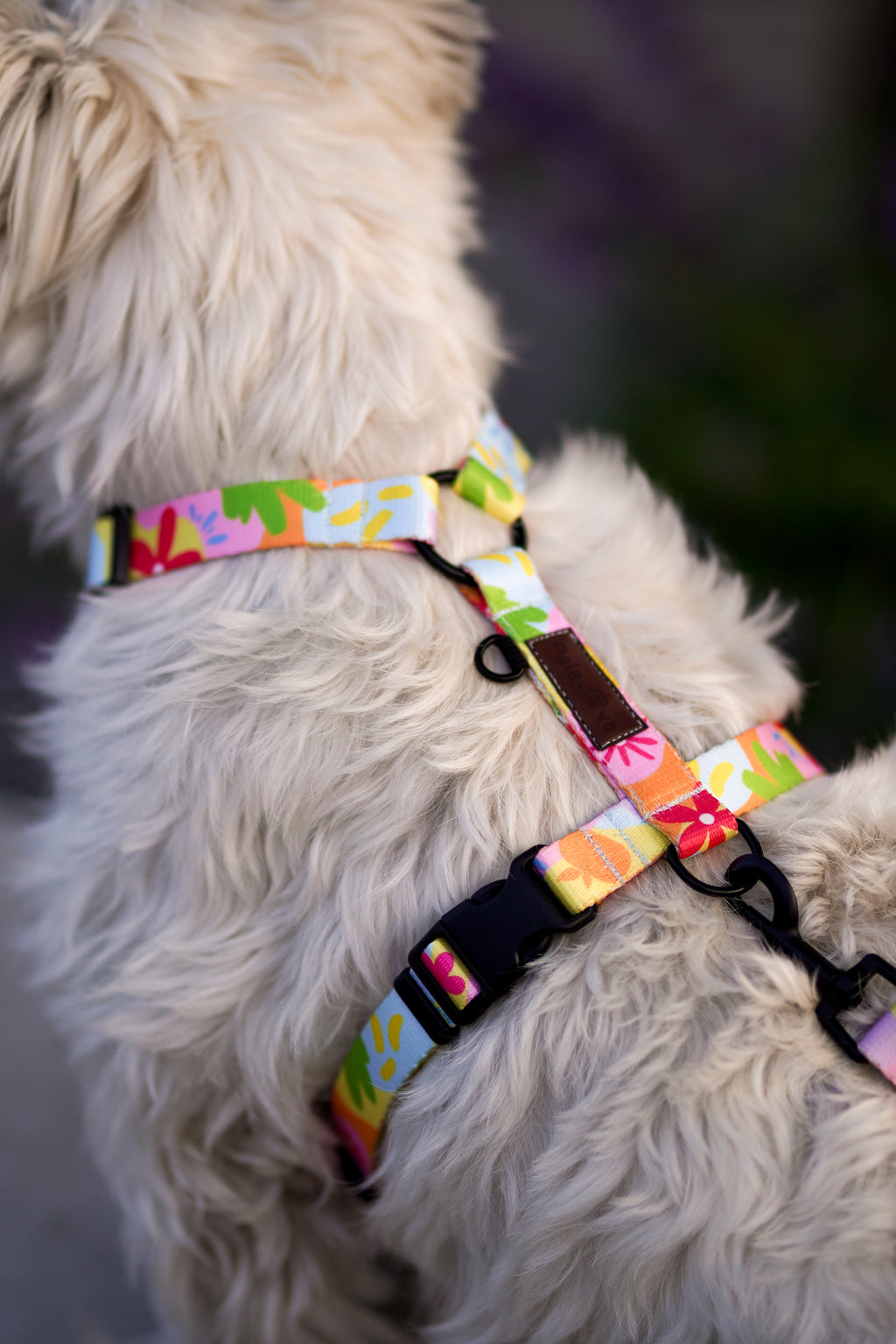 Szelki Guard Psiakacje