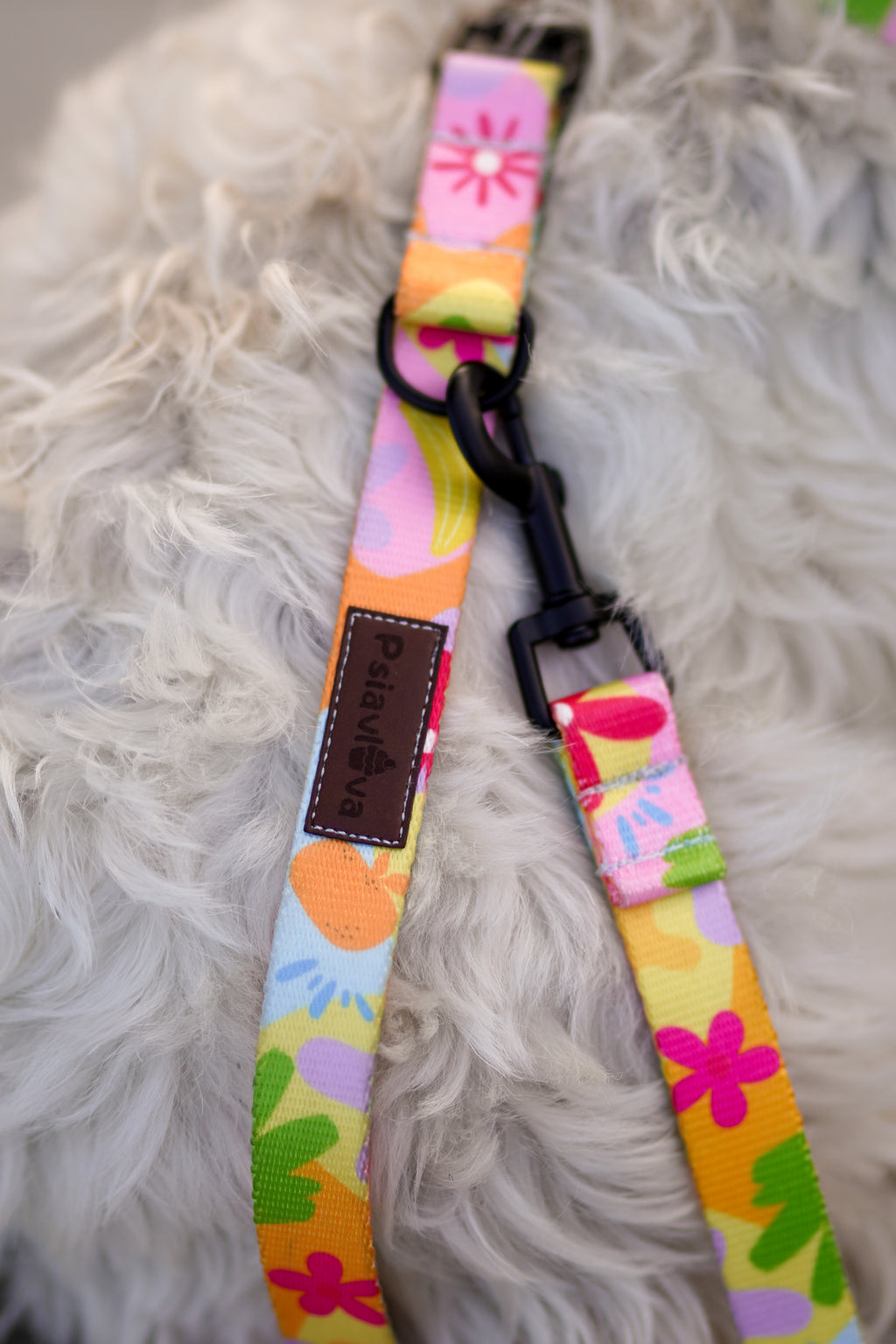 Smycz przepinana 3 m Psiakacje