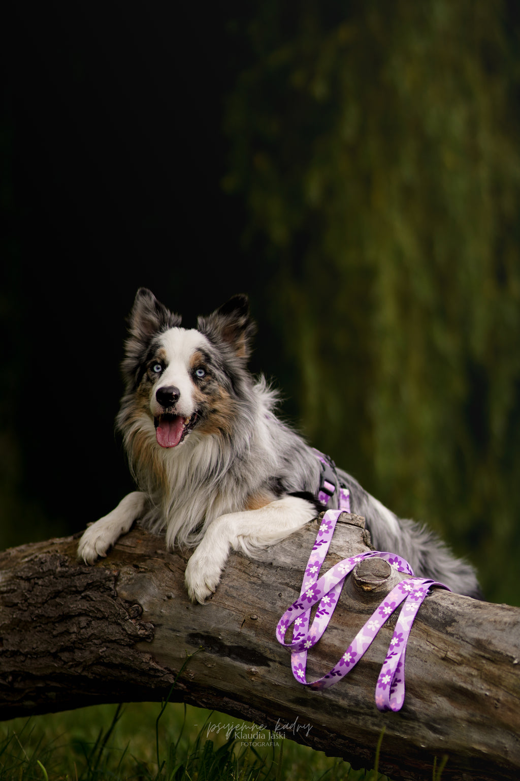 Smycz przepinana 3 m Psiagódka