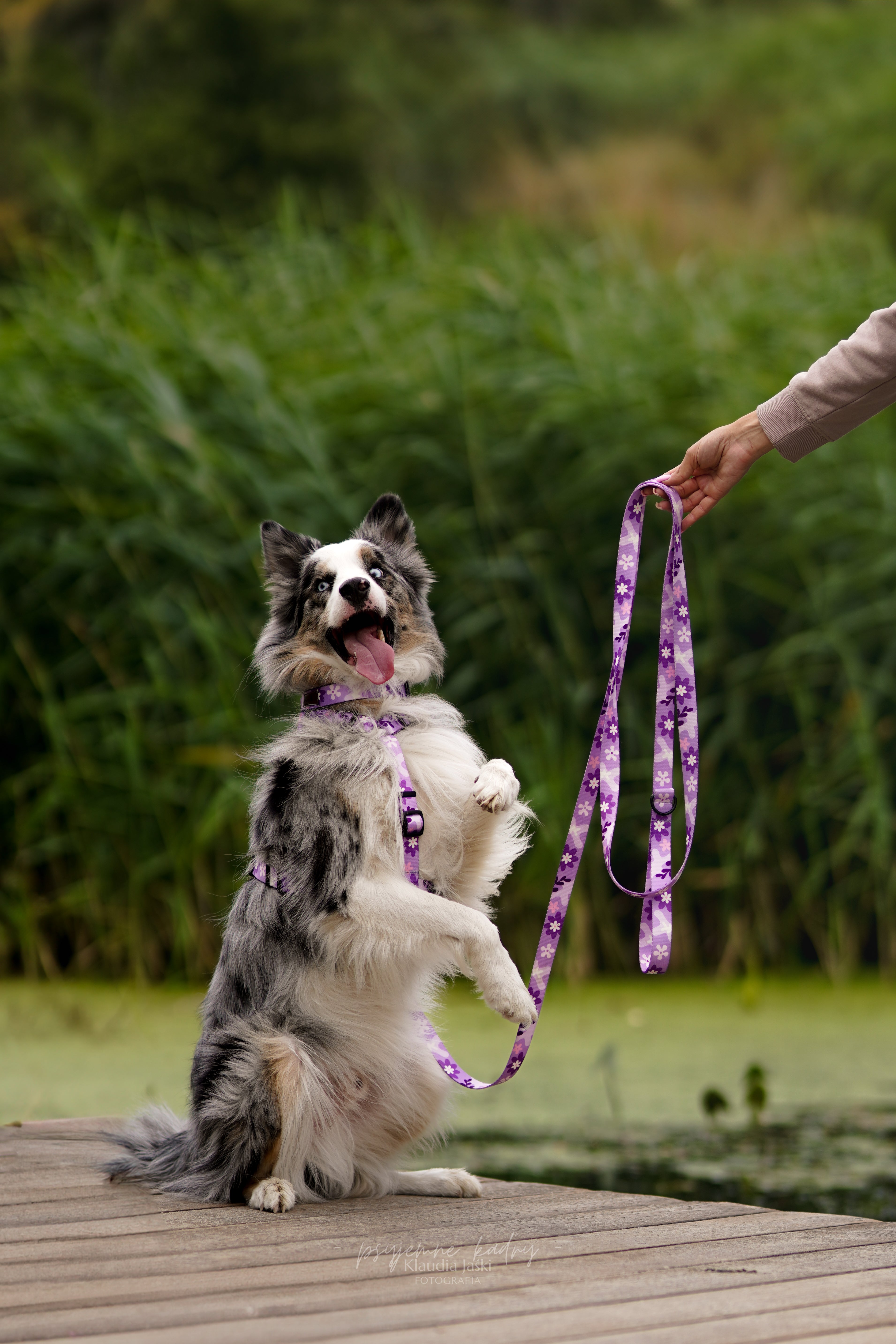 Smycz przepinana 3 m Psiagódka