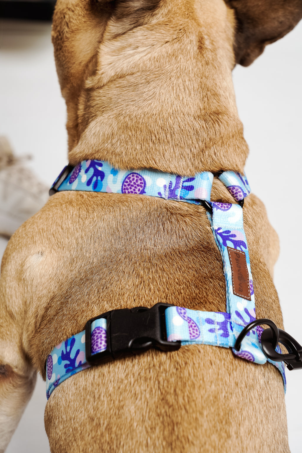 niebieskie, jasnoniebieskie, turkusowe szelki guard dla psa PSIAMIKAZE