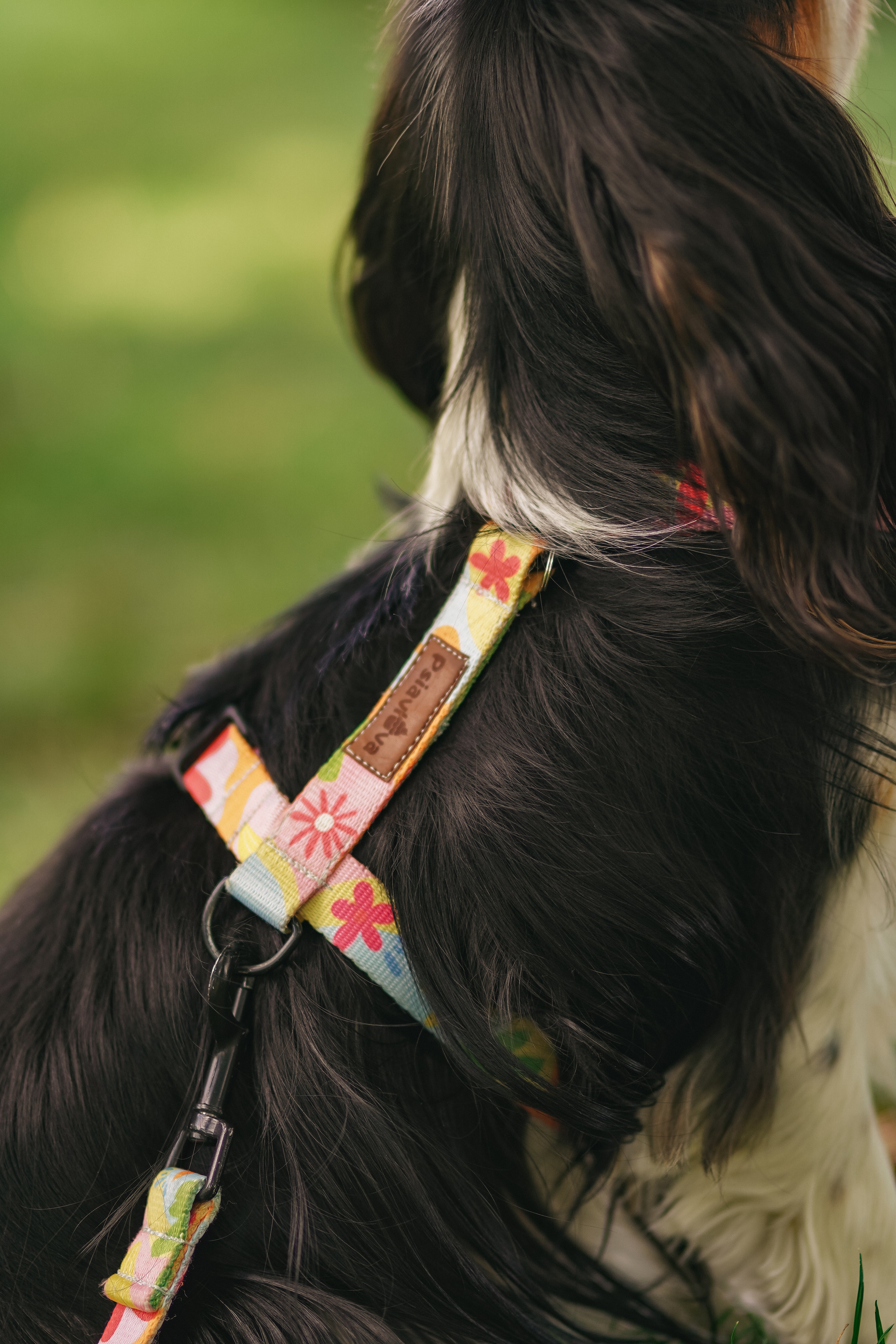 Szelki Guard Psiakacje