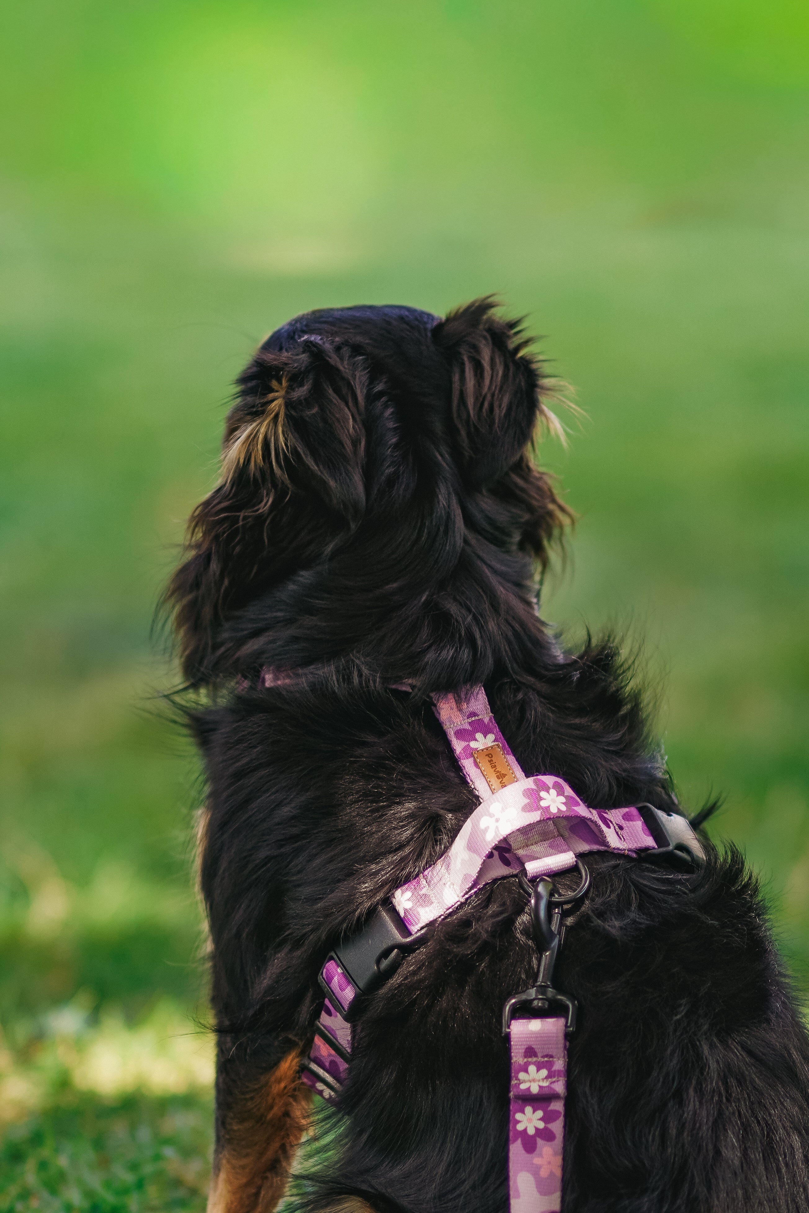 Rączka + dodatkowa klamra na grzbiecie