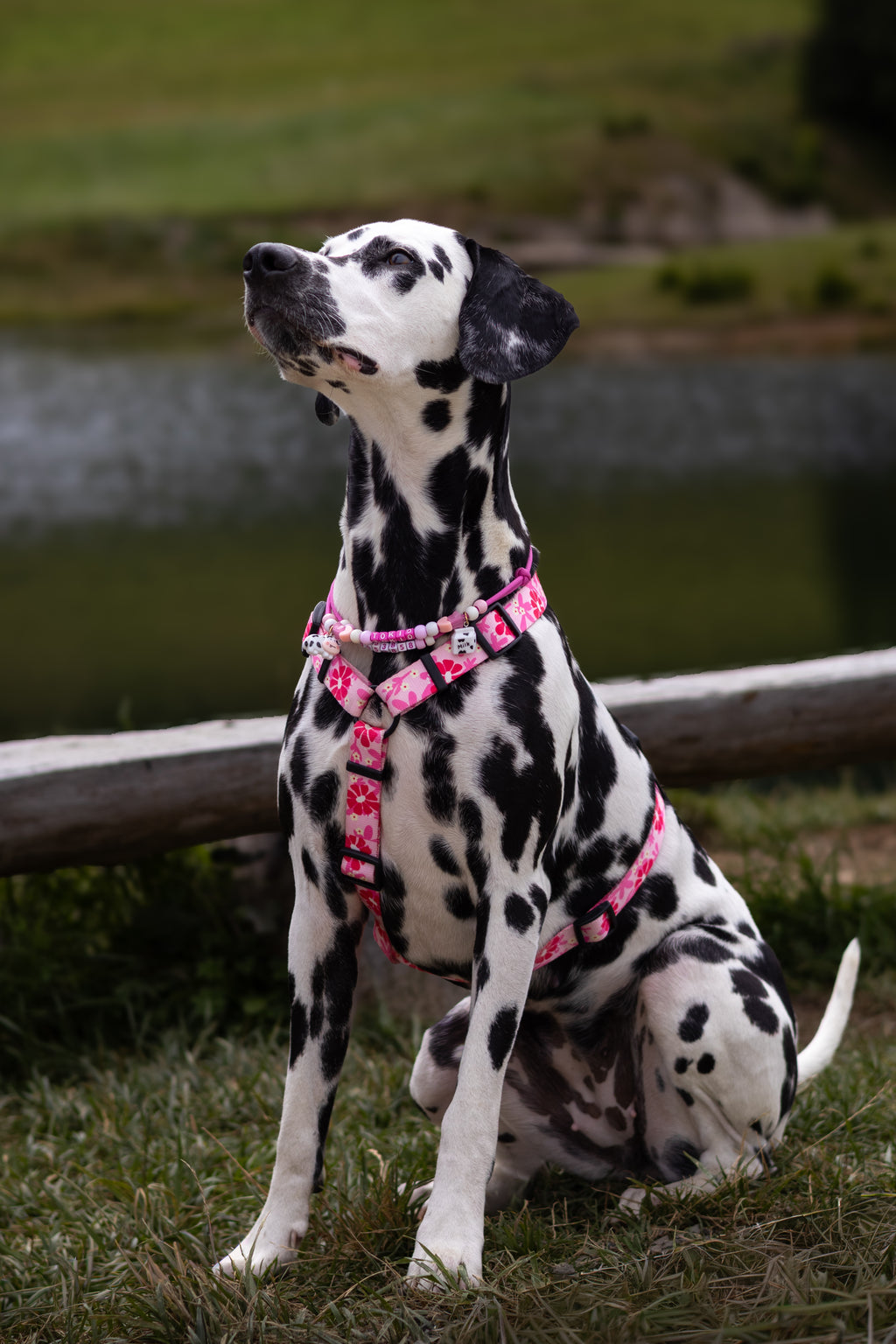 RÓŻOWE, MALINOWE szelki guard dla psa MALINOWA BEZA