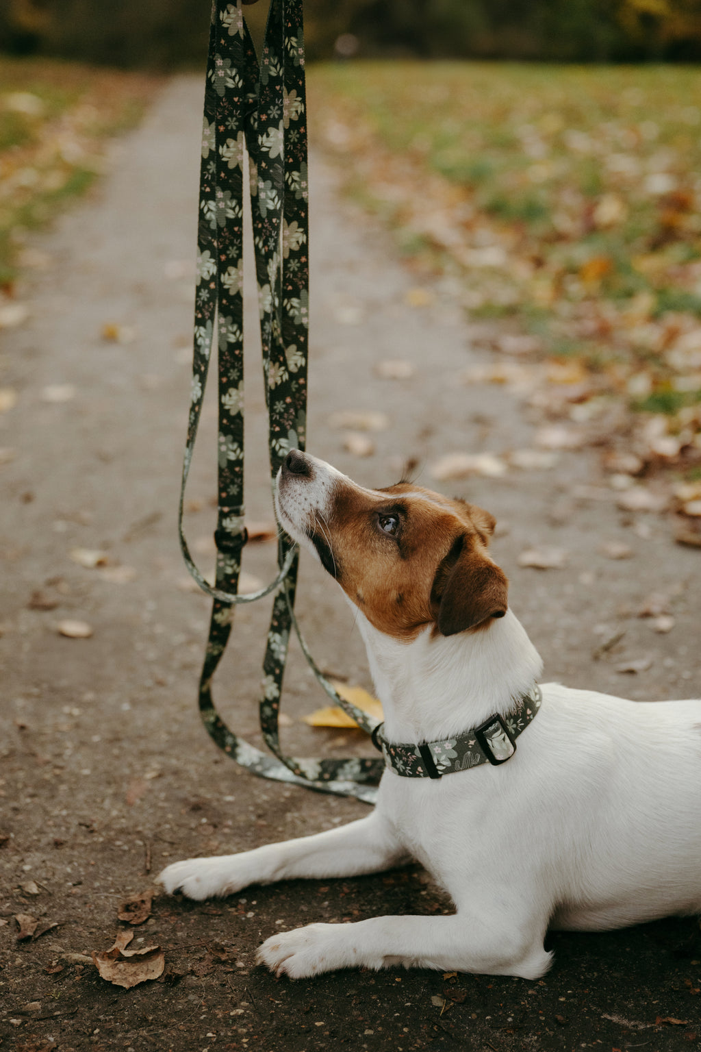 Smycz przepinana 3 m Psiaktus