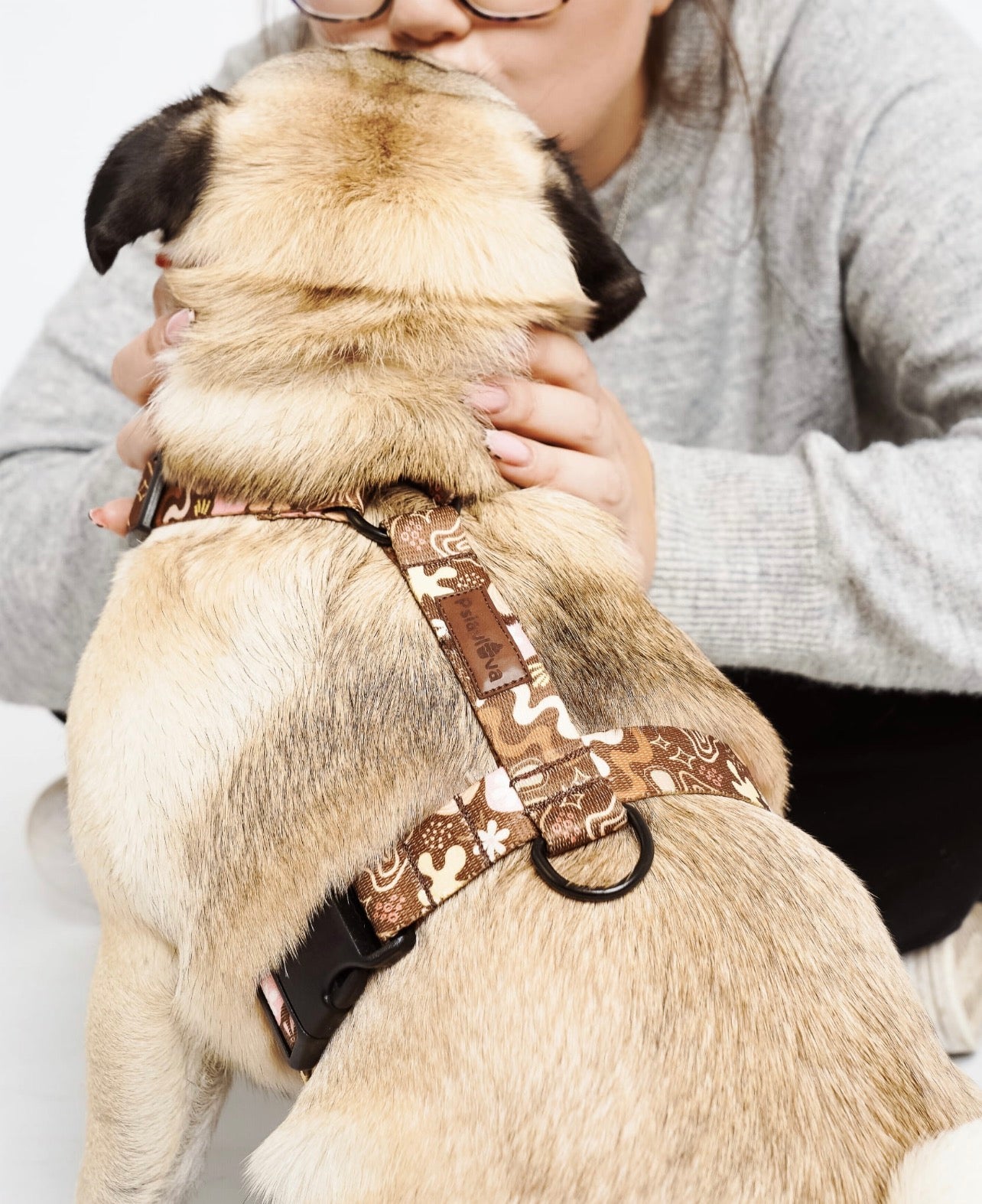 BRĄZOWE SZELKI GUARD, BEŻOWE DLA PSÓW MODNE KAWA Z PIANKĄ