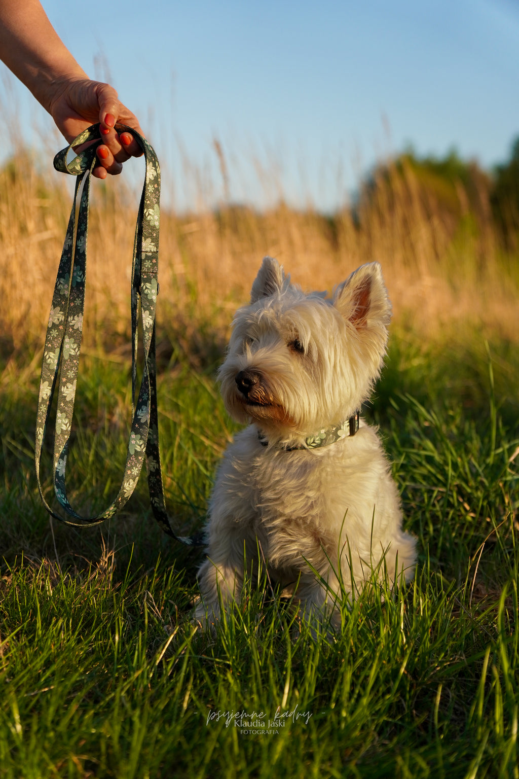 Smycz miejska 2 m Psiaktus