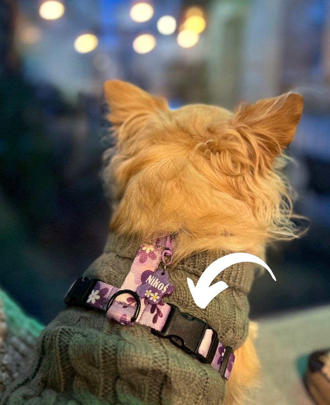 Dodatkowa klamra na grzbiecie