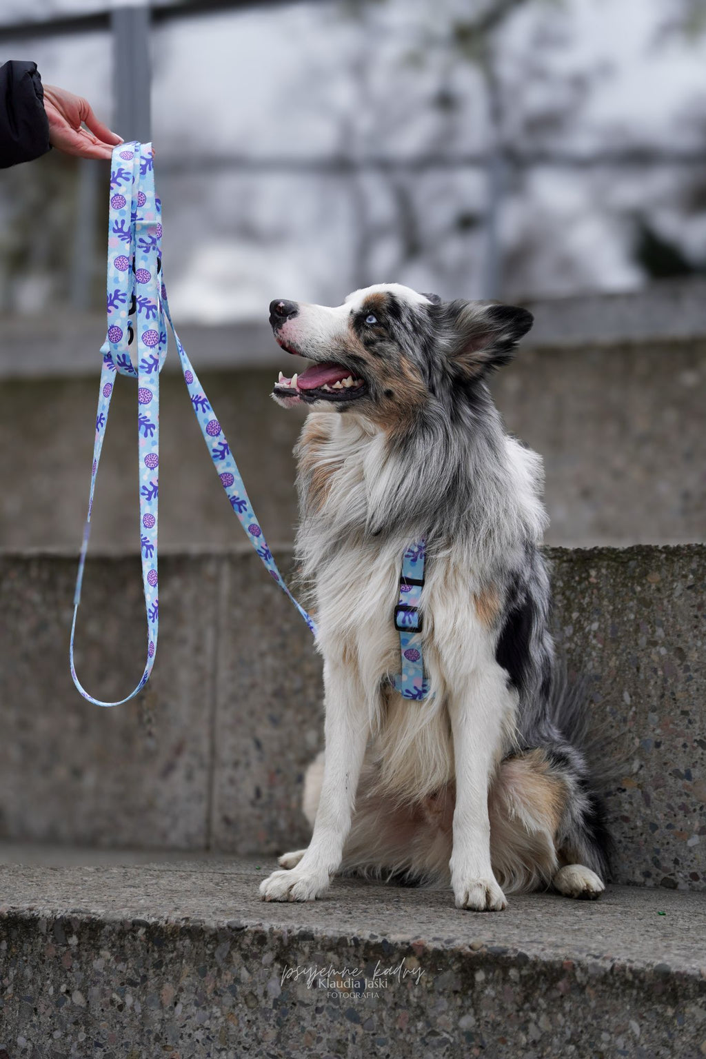 Smycz przepinana 3 m Psiamikaze