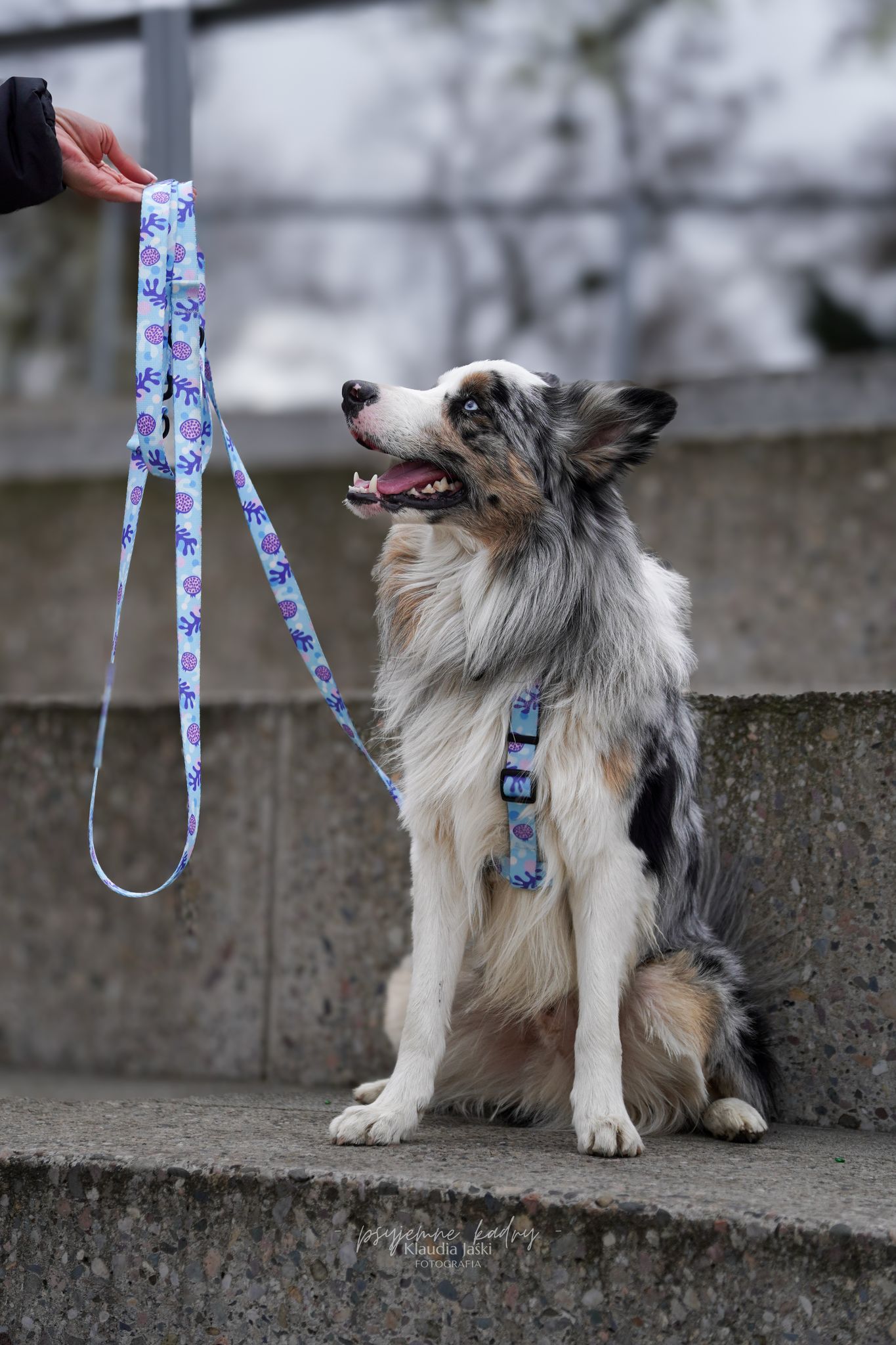 Smycz przepinana 3 m Psiamikaze